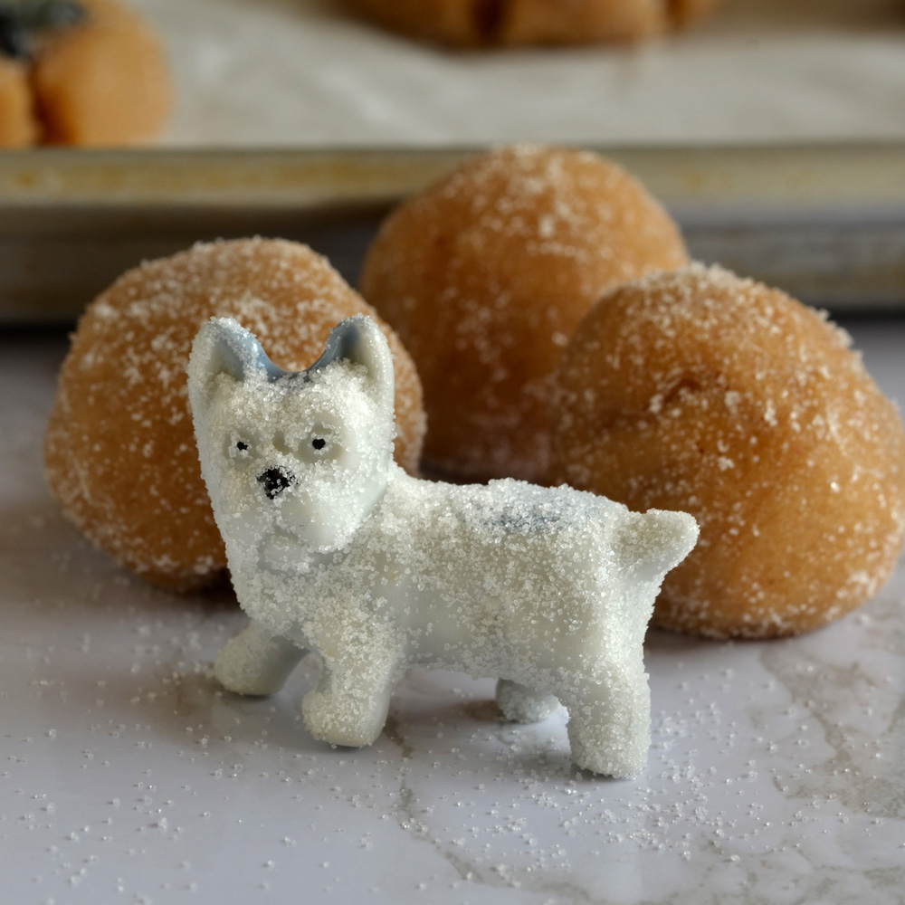 Pickles the dog rolled in sugar