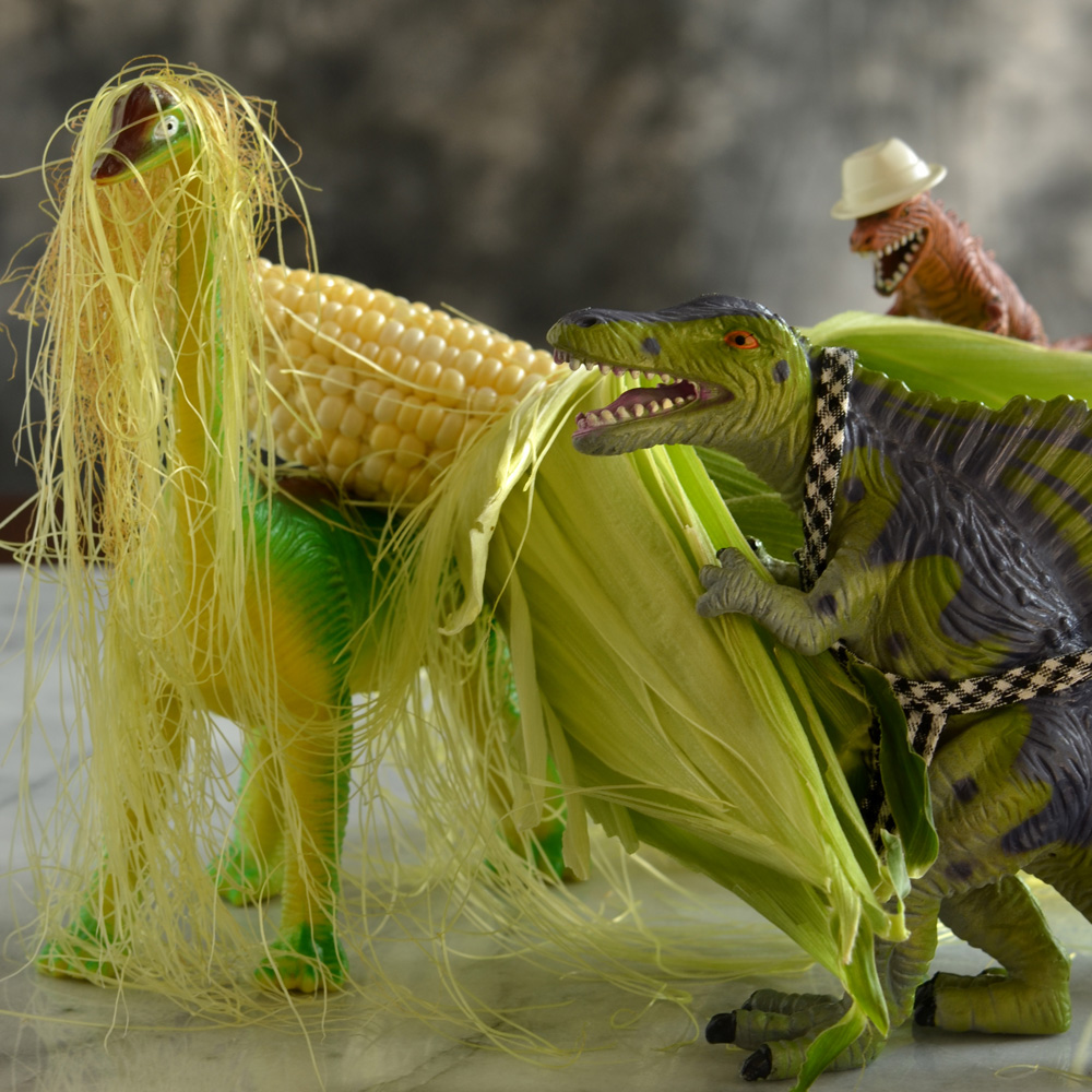 Bjorn, Spike, and Dean with corn