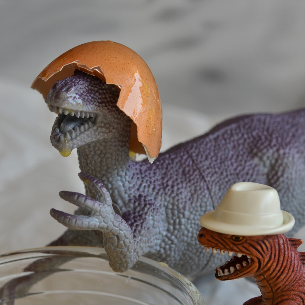 Jamal wearing eggshell like a hat