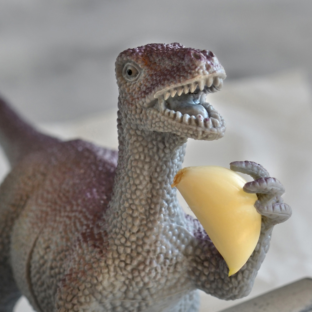 Jamal portrait with garlic clove