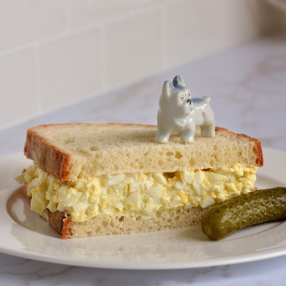 Pickles the dog with egg salad sandwich