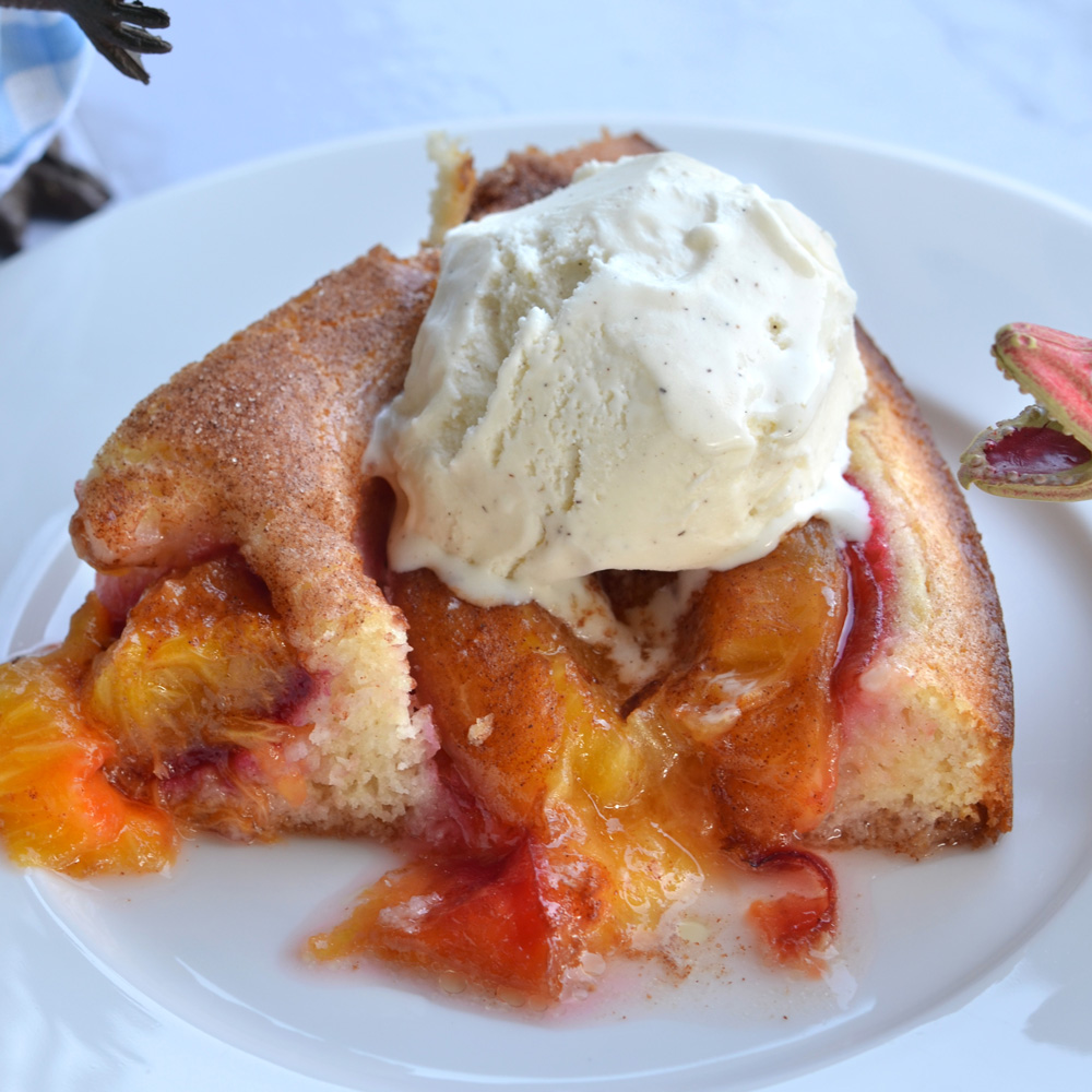 Plum cake with vanilla ice cream on white plate