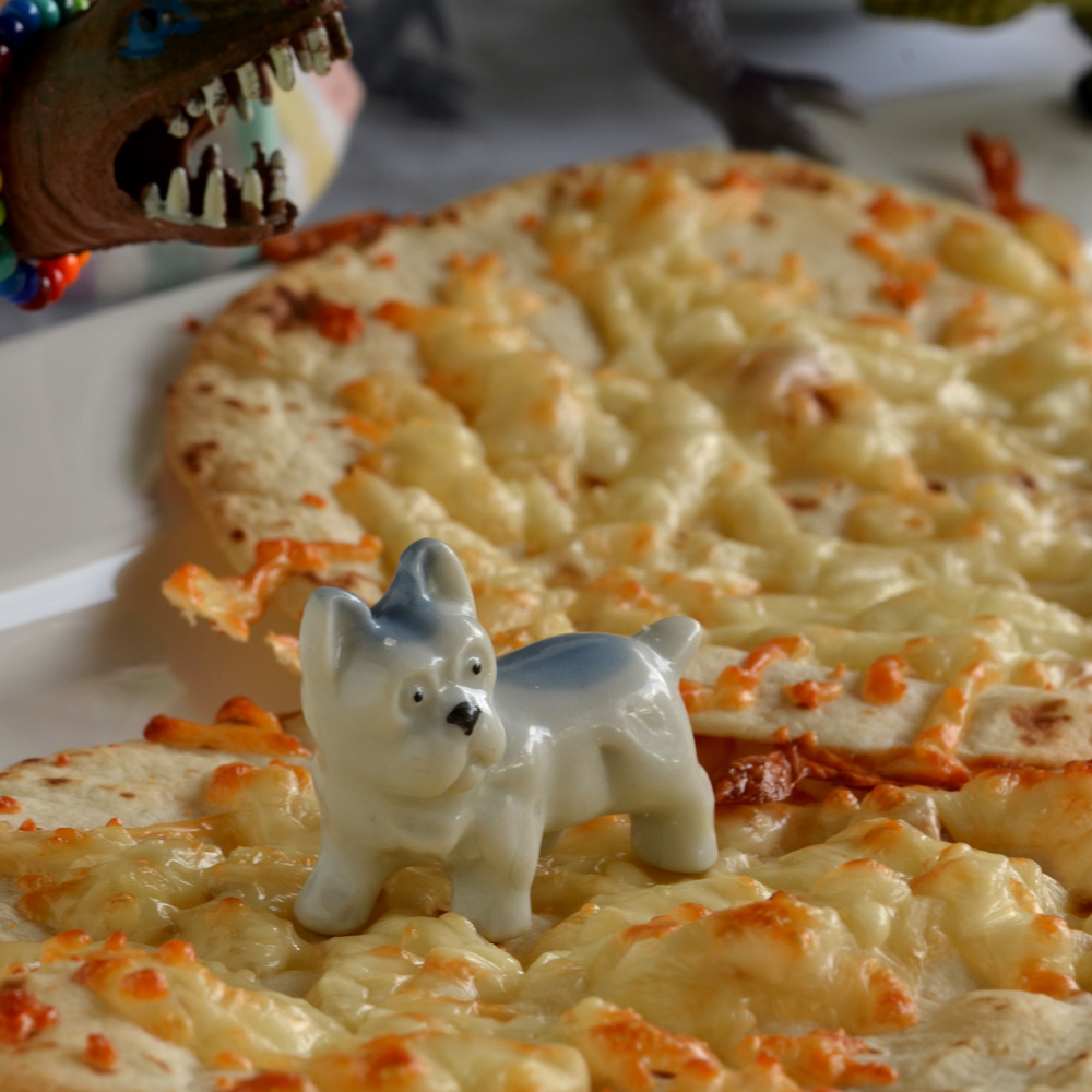 Pickles the dog stands on a flour tortilla covered with melted cheese