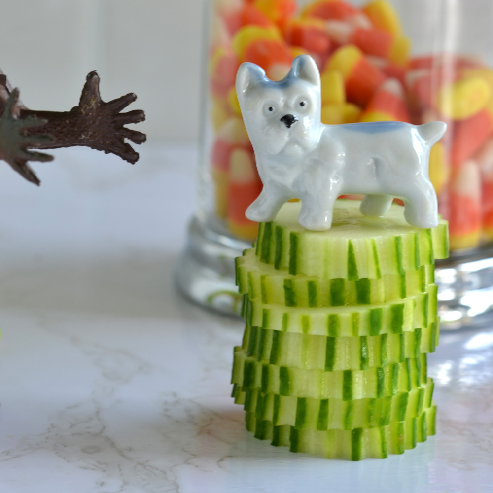 Pickles stands on a stack of cucumber slices