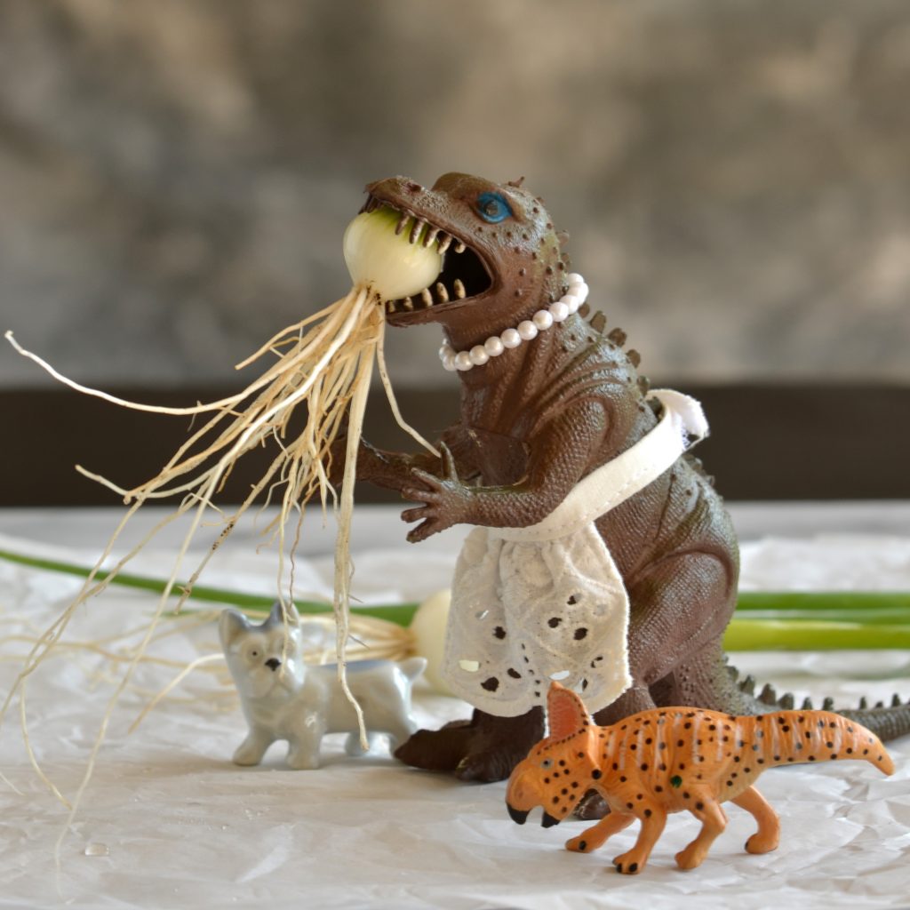 Vickie munches on a small onion