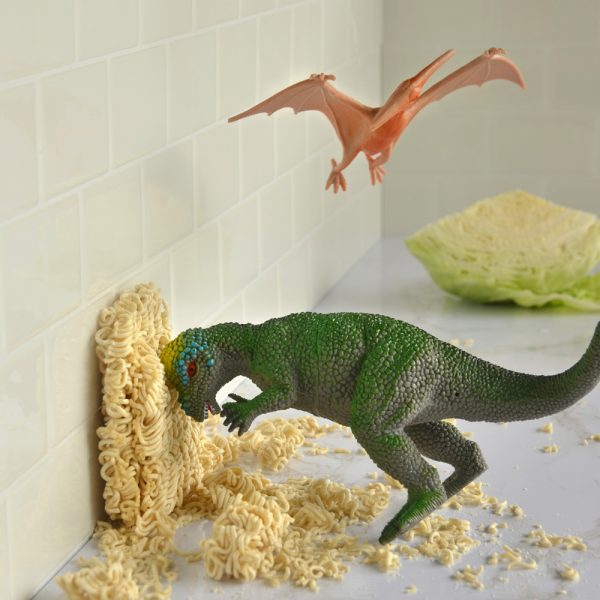 Art watches Pachy bust up some dry ramen noodles