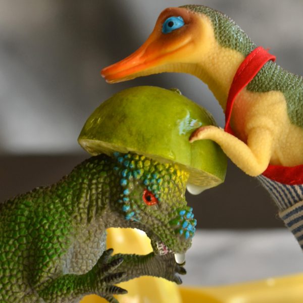 TJ using Pachy's head as a lime juicer