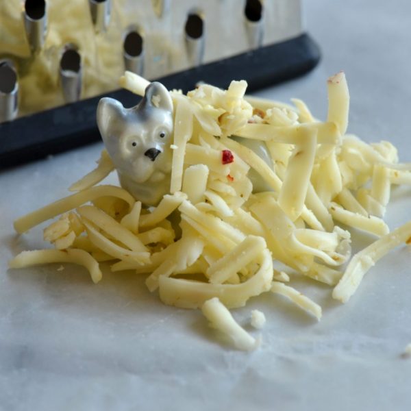 Pickles is buried in some shredded cheese