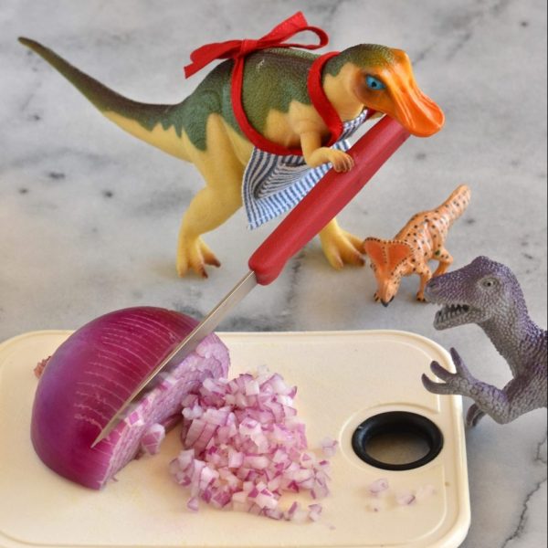 TJ cuts up a red onion