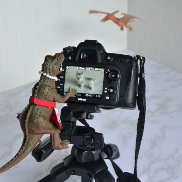 Vickie gets behind the camera to take a picture of Pickles